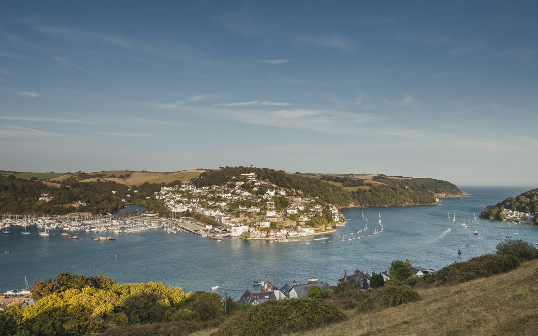 Summer Survey Results