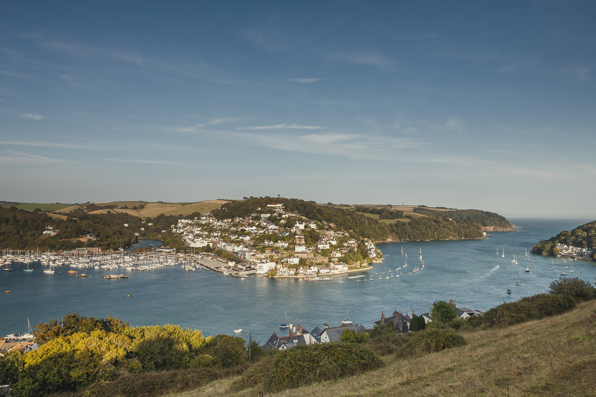 Summer Survey Results